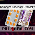 Kamagra Sildenafil Oral Jelly new12